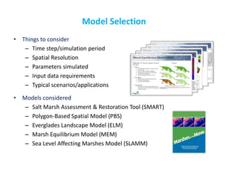 Model Selection 
•Things to consider 
–Time step/simulation period 
–Spatial Resolution 
–Parameters simulated 
–Input data requirements 
–Typical scenarios/applications 
•Models considered 
–Salt Marsh Assessment & Restoration Tool (SMART) 
–Polygon-Based Spatial Model (PBS) 
–Everglades Landscape Model (ELM) 
–Marsh Equilibrium Model (MEM) 
–Sea Level Affecting Marshes Model (SLAMM)  