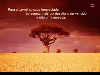 Para o carvalho, cada tempestadePara o carvalho, cada tempestade
representa mais um desafio a ser vencidorepresenta mais um desafio a ser vencido
e não uma ameaça.e não uma ameaça.
 