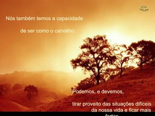 Nós também temos a capacidadeNós também temos a capacidade
de ser como o carvalho.de ser como o carvalho.
Podemos, e devemos,Podemos, e devemos,
tirar proveito das situações difíceistirar proveito das situações difíceis
da nossa vida e ficar maisda nossa vida e ficar mais
 