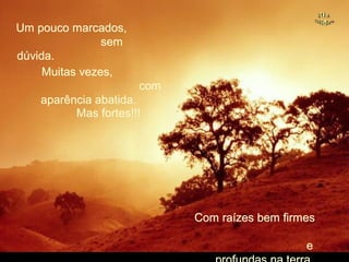 Um pouco marcados,Um pouco marcados,
semsem
dúvida.dúvida.
Muitas vezes,Muitas vezes,
comcom
aparência abatida.aparência abatida.
Mas fortes!!!Mas fortes!!!
Com raízes bem firmesCom raízes bem firmes
ee
.
 