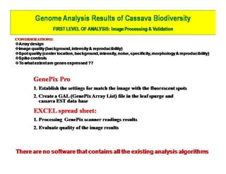 Gene expression analysis in storage root of cassava using microarray data