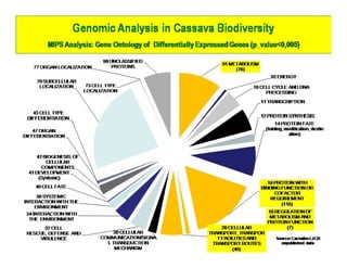 Gene expression analysis in storage root of cassava using microarray data