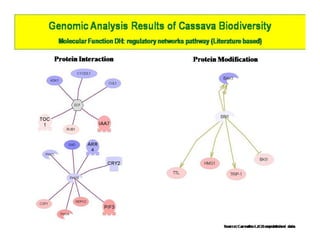 Gene expression analysis in storage root of cassava using microarray data