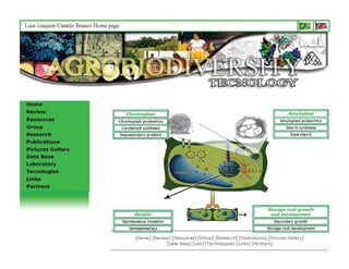 Gene expression analysis in storage root of cassava using microarray data