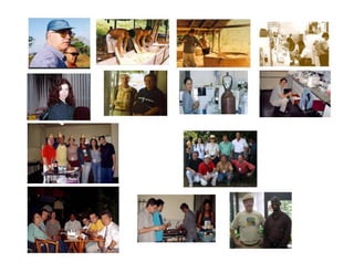 Gene expression analysis in storage root of cassava using microarray data