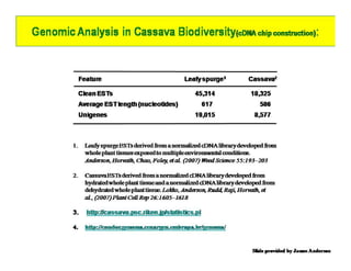 Gene expression analysis in storage root of cassava using microarray data