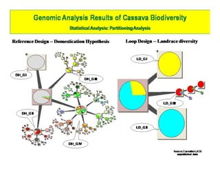 Gene expression analysis in storage root of cassava using microarray data