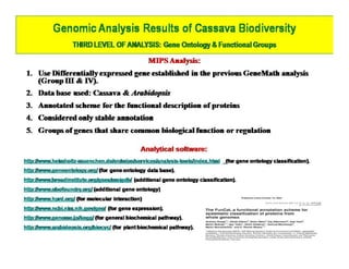 Gene expression analysis in storage root of cassava using microarray data