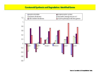 Gene expression analysis in storage root of cassava using microarray data