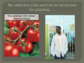 You could get 724 million
You could get 724 million
     Tomatoe plants
     Tomatoe plants
 