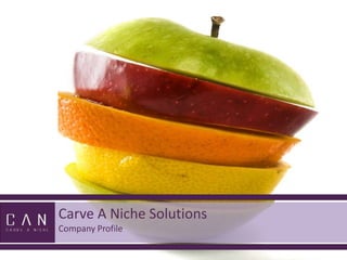 Carve A Niche Solutions Company Profile 