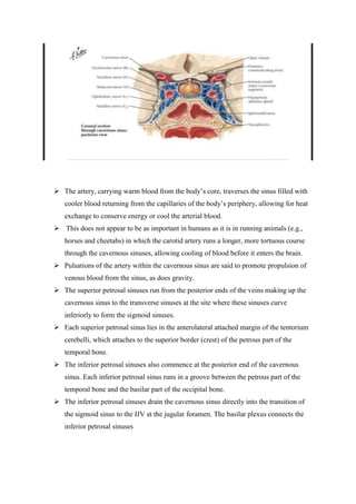 carvenosa sinus.docx
