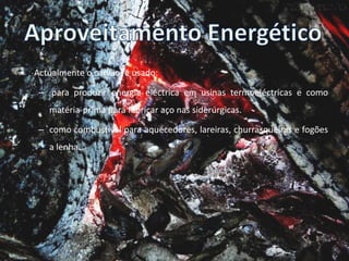 Vantagens e DesvantagensSendo o Carvão um recurso não renovável ou seja: são consumidos mais rapidamente do que natureza pode produzi-los, tens vantagens e desvantagens tais como