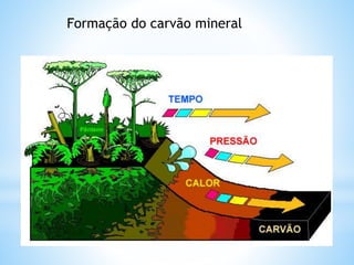 Formação do carvão mineral
 