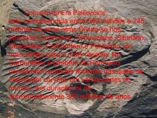 Conceito da Era Paleozóica:está compreendida entre 540 milhões e 245 milhões de anos atrás Divide-se nos períodos Cambriano, Ordoviciano, Siluriano, Devoniano, Carbonífero e Permiano, do mais antigo para o mais recente. No Carbonífero e também no Permianoconstituíram grandes florestas das quais se originaram carvões em várias partes do mundo. sua duração foi de aproximadamente 380 milhões de anos.