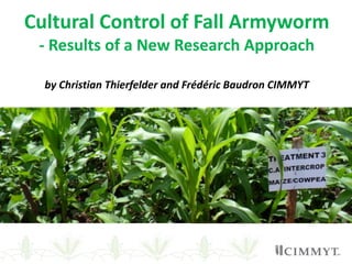 Cultural Control of Fall Armyworm
- Results of a New Research Approach
by Christian Thierfelder and Frédéric Baudron CIMMYT
 
