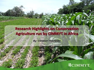 Research Highlights on ConservationResearch Highlights on Conservation
Agriculture run by CIMMYT in AfricaAgriculture run by CIMMYT in Africa
By: Christian ThierfelderBy: Christian Thierfelder
 