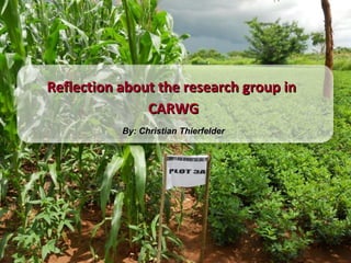 Reflection about the research group inReflection about the research group in
CARWGCARWG
By: Christian ThierfelderBy: Christian Thierfelder
 