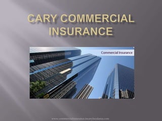CARY Commercial insurance www.commercialinsurance.incarylocalarea.com 