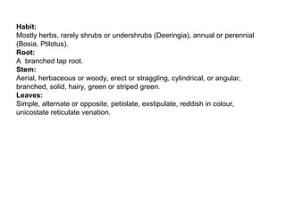 Habit:
Mostly herbs, rarely shrubs or undershrubs (Deeringia), annual or perennial
(Bosia, Ptilotus).
Root:
A branched tap root.
Stem:
Aerial, herbaceous or woody, erect or straggling, cylindrical, or angular,
branched, solid, hairy, green or striped green.
Leaves:
Simple, alternate or opposite, petiolate, exstipulate, reddish in colour,
unicostate reticulate venation.
 