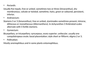 • Perianth:
Usually five tepals, free or united, sometimes two or three (Amaranthus), dry
membranous, valvate or twisted, sometime, hairy, green or coloured, persistent,
inferior.
• Androecium:
Stamens 5 or 3 (Amaranthus), free or united, staminodes sometimes present, introrse,
dithecous or monothecous (Alternanthera). In Achyranthes 5 fimbriated scales
alternate with 5 fertile stamens.
• Gynoecium:
Bicarpellary, or tricarpellary; syncarpous, ovary superior, unilocular, usually one
campylotropous ovule; basal placentation; style short or filiform; stigma 2 or 3.
• Pollination:
Mostly anemophilous and in some plants entomophilous.
 