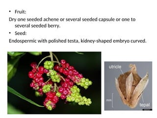 • Fruit:
Dry one seeded achene or several seeded capsule or one to
several seeded berry.
• Seed:
Endospermic with polished testa, kidney-shaped embryo curved.
 