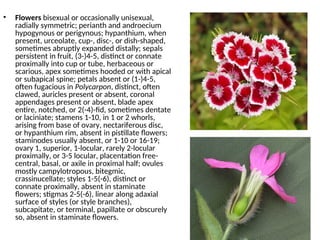 • Flowers bisexual or occasionally unisexual,
radially symmetric; perianth and androecium
hypogynous or perigynous; hypanthium, when
present, urceolate, cup-, disc-, or dish-shaped,
sometimes abruptly expanded distally; sepals
persistent in fruit, (3-)4-5, distinct or connate
proximally into cup or tube, herbaceous or
scarious, apex sometimes hooded or with apical
or subapical spine; petals absent or (1-)4-5,
often fugacious in Polycarpon, distinct, often
clawed, auricles present or absent, coronal
appendages present or absent, blade apex
entire, notched, or 2(-4)-fid, sometimes dentate
or laciniate; stamens 1-10, in 1 or 2 whorls,
arising from base of ovary, nectariferous disc,
or hypanthium rim, absent in pistillate flowers;
staminodes usually absent, or 1-10 or 16-19;
ovary 1, superior, 1-locular, rarely 2-locular
proximally, or 3-5 locular, placentation free-
central, basal, or axile in proximal half; ovules
mostly campylotropous, bitegmic,
crassinucellate; styles 1-5(-6), distinct or
connate proximally, absent in staminate
flowers; stigmas 2-5(-6), linear along adaxial
surface of styles (or style branches),
subcapitate, or terminal, papillate or obscurely
so, absent in staminate flowers.
 