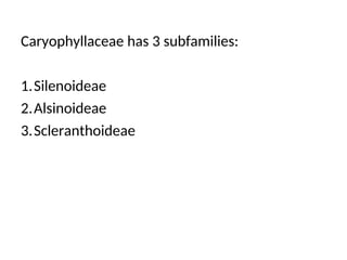 Caryophyllaceae has 3 subfamilies:
1.Silenoideae
2.Alsinoideae
3.Scleranthoideae
 