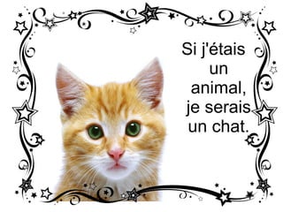 Si j'étais un animal, je serais un chat.