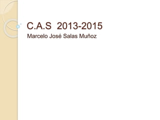 C.A.S 2013-2015
Marcelo José Salas Muñoz
 