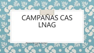 CAMPAÑAS CAS
LNAG
Mariana Benavente Jauregui
4”G”
 