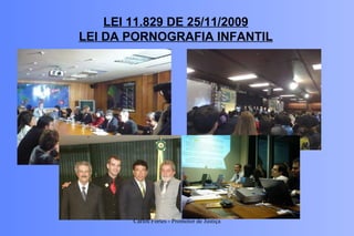 LEI 11.829 DE 25/11/2009 LEI DA PORNOGRAFIA INFANTIL Carlos Fortes - Promotor de Justiça 