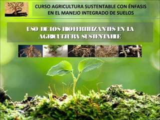 CURSO AGRICULTURA SUSTENTABLE CON ÉNFASIS
EN EL MANEJO INTEGRADO DE SUELOS
USO DELOS BIOFERTILIZANTES EN LAUSO DELOS BIOFERTILIZANTES EN LA
AGRICULTURA SUSTENTABLEAGRICULTURA SUSTENTABLE
 