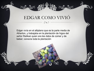 EDGAR COMO VIVIÓ
Edgar vivía en el altiplano que es la parte media de
Atherton, y trabajaba en la plantación de higos del
señor Ratikan quien era les daba de comer y de
beber; conocía toda la plantación

 