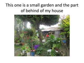 This one is a small garden and the part
of behind of my house
 