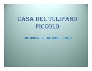CASA DEL TULIPANO
     PICCOLO
 THE HOUSE OF THE SMALL TULIP
 