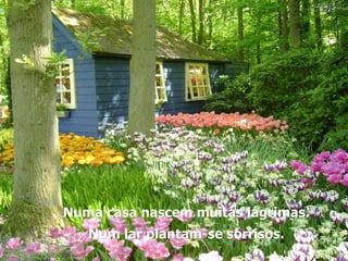 Numa casa nascem muitas lágrimas. Num lar plantam-se sorrisos. 