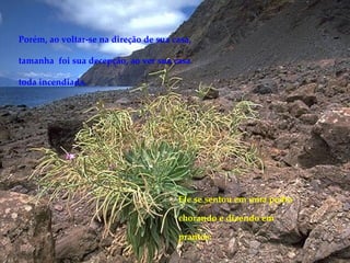 Porém, ao voltar-se na direção de sua casa,  tamanha  foi sua decepção, ao ver sua casa toda incendiada. Ele se sentou em uma pedra chorando e dizendo em prantos: 