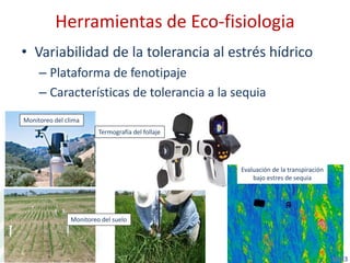 Casa abierta CIAT retos y oportunidades
