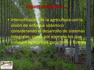 Casa abierta CIAT retos y oportunidades