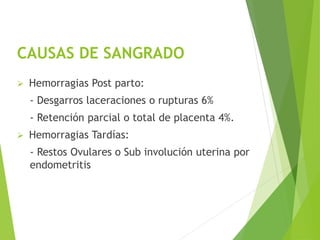 CAUSAS DE SANGRADO 
 Hemorragias Post parto: 
- Desgarros laceraciones o rupturas 6% 
- Retención parcial o total de placenta 4%. 
 Hemorragias Tardías: 
- Restos Ovulares o Sub involución uterina por 
endometritis 
 