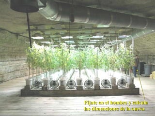 Fíjate en el hombre y calcula las dimensiones de la cueva 