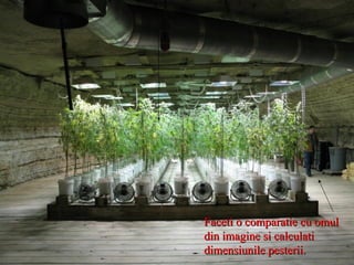 Faceti o comparatie cu omul din imagine si calculati dimensiunile pesterii. 