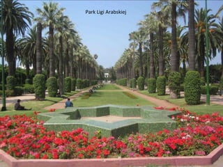  Park Ligi Arabskiej
 