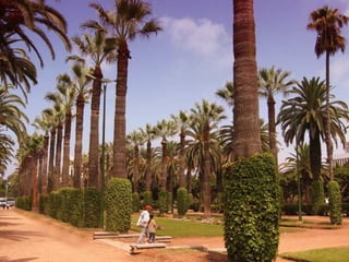 Casablanca