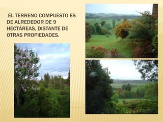 EL TERRENO COMPUESTO ES
DE ALREDEDOR DE 9
HECTÁREAS, DISTANTE DE
OTRAS PROPIEDADES.

 