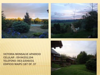 VICTORIA MONSALVE APARICIO
CELULAR : 09-94251194
TELEFONO: 063-2206031
EDIFICIO MAIPÚ 187 OF. 37

 
