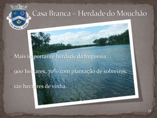 Igreja de São MiguelMais conhecida por Igrejinha.Foi uma doação de dois habitantes.Construção do séc. XVII, de pequenas dimensões.Utilizada nos dias que correm como casa mortuária.            Casa Branca - Monumentos9