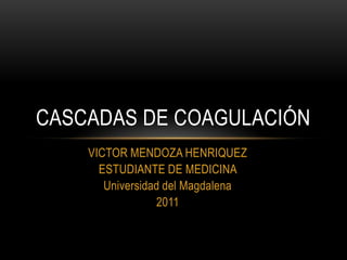 CASCADAS DE COAGULACIÓN
    VICTOR MENDOZA HENRIQUEZ
      ESTUDIANTE DE MEDICINA
       Universidad del Magdalena
                 2011
 