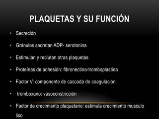 PLAQUETAS Y SU FUNCIÓN
• Secreción

• Gránulos secretan ADP- serotonina

• Estimulan y reclutan otras plaquetas

• Proteín...